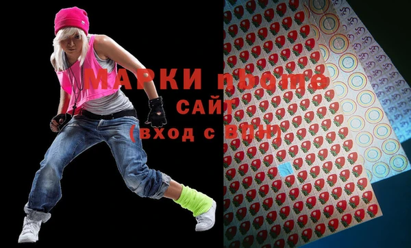 мяу мяу мука Аркадак