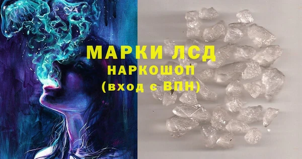 мяу мяу мука Аркадак