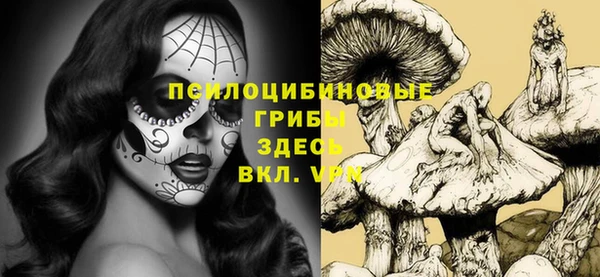 мяу мяу мука Аркадак