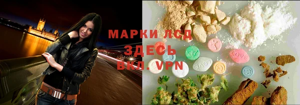 тгк Армянск