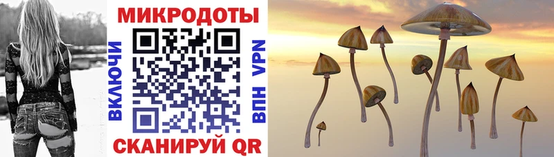 Галлюциногенные грибы Magic Shrooms  Серафимович 